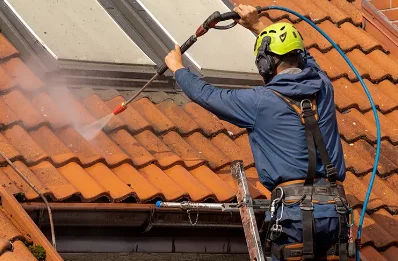 Démoussage et hydrofuge de toiture à Blandy